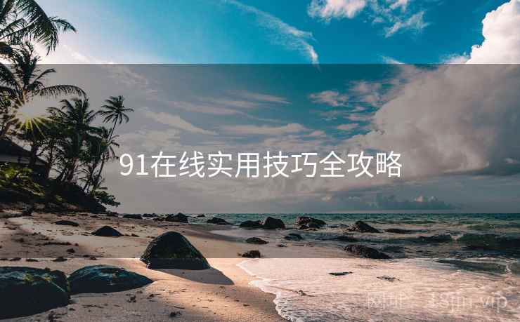 91在线实用技巧全攻略