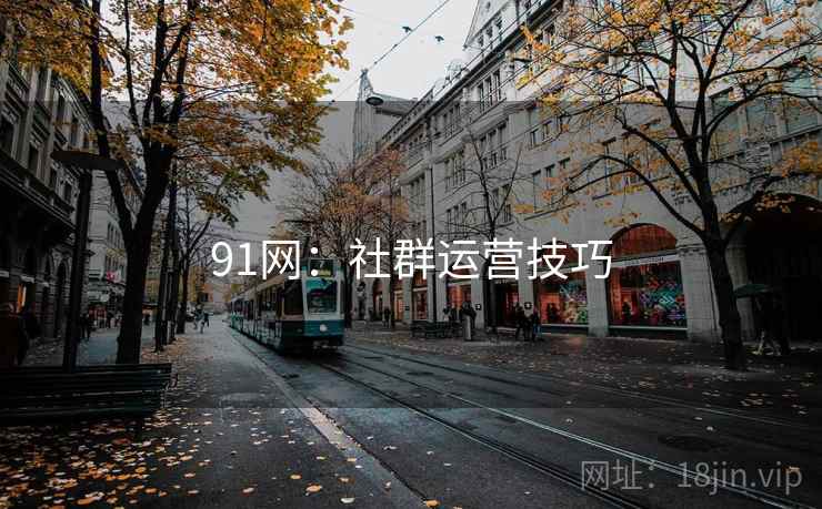 91网：社群运营技巧