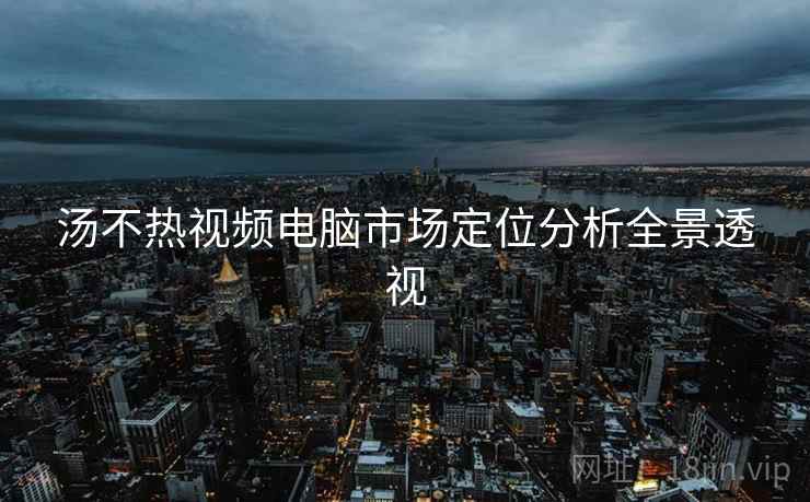 汤不热视频电脑市场定位分析全景透视