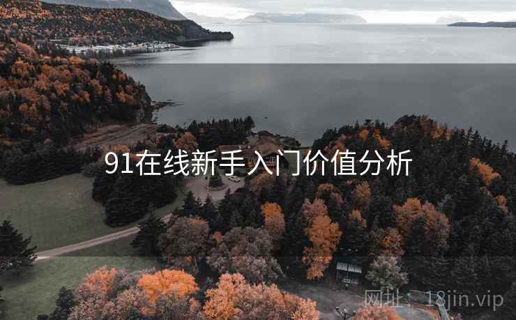91在线新手入门价值分析