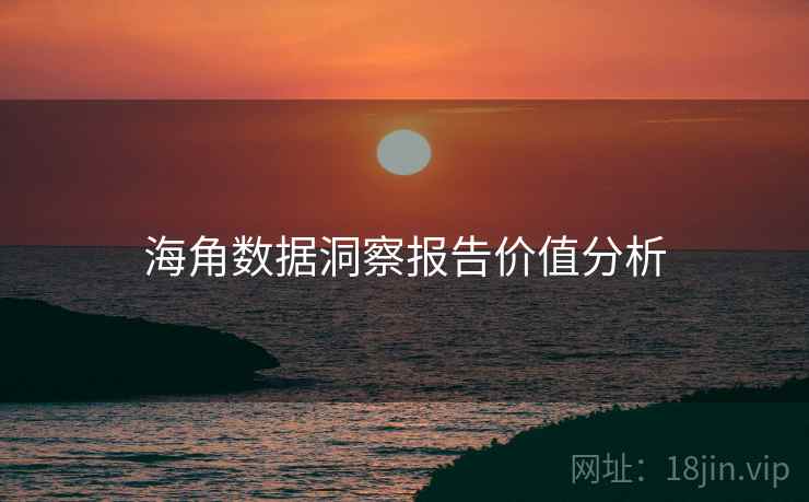 海角数据洞察报告价值分析